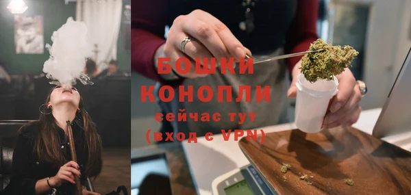 PSILOCYBIN Корсаков