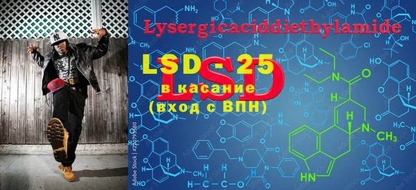 PSILOCYBIN Корсаков