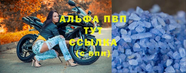 мяу мяу мука Коряжма