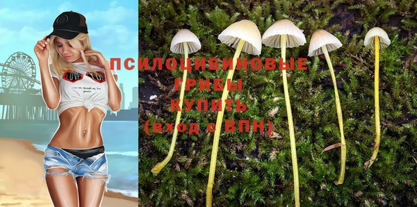 PSILOCYBIN Корсаков