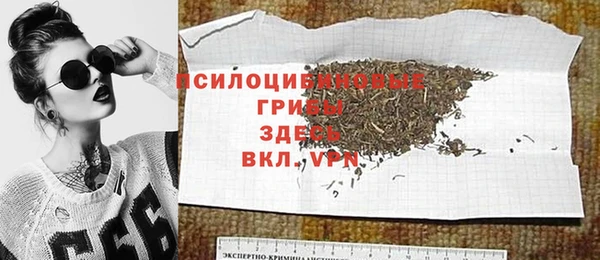 PSILOCYBIN Корсаков