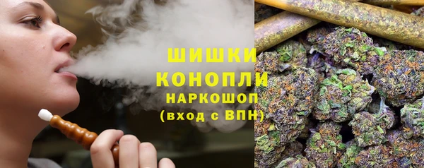 PSILOCYBIN Корсаков