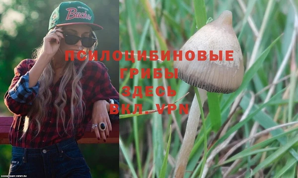PSILOCYBIN Корсаков