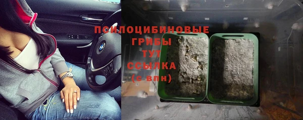 PSILOCYBIN Корсаков