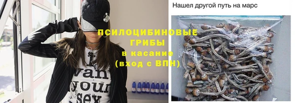 PSILOCYBIN Корсаков